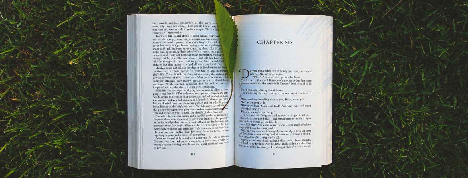 Apex Author Studio Blog | Book Writing Ideas